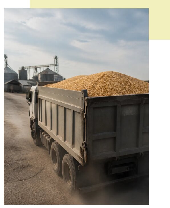 Перевозка сельхозпродукции навалом в Сергиева Посад по цене от 3070 р. | Агросервис-Сгп